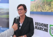 Anna Casini, vicepresidente della Regione Marche