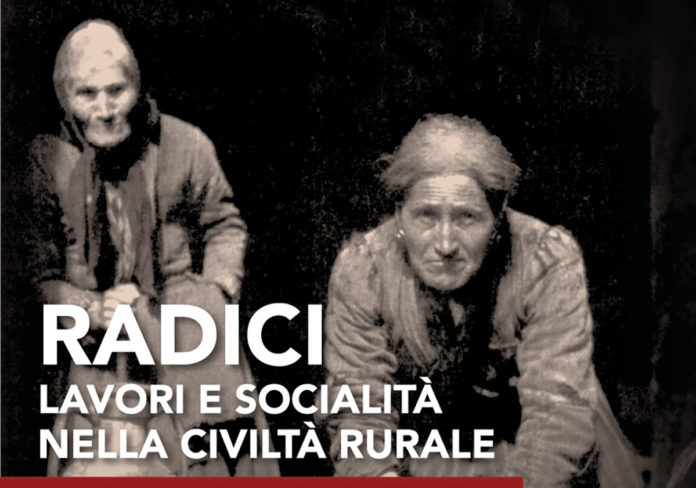 La foto simbolo della mostra Radici, ad Ascoli Piceno