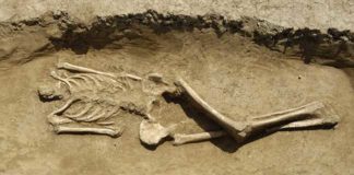 Uno scheletro ritrovato in spiaggia, foto generica