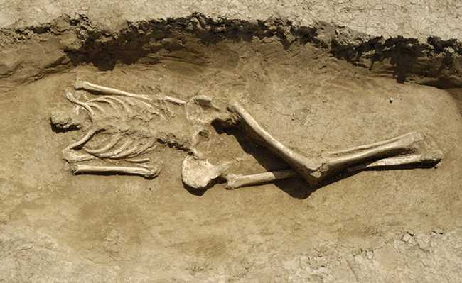 Uno scheletro ritrovato in spiaggia, foto generica