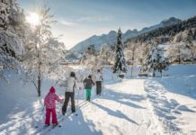 Sciare ad Andalo, in Trentino