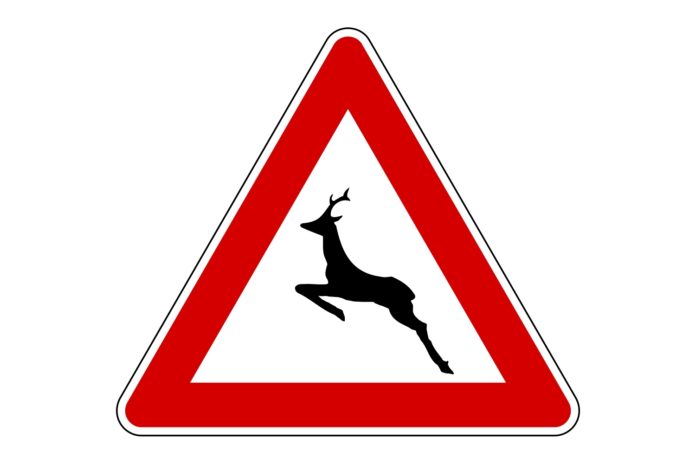 Pericolo attraversamento animali